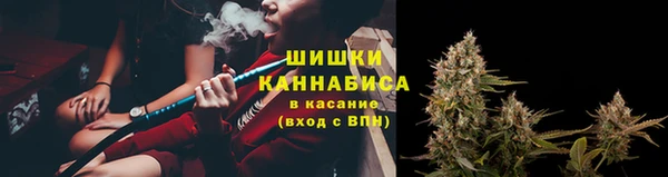 ПСИЛОЦИБИНОВЫЕ ГРИБЫ Абаза