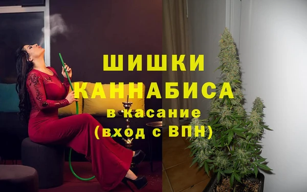 ПСИЛОЦИБИНОВЫЕ ГРИБЫ Абаза
