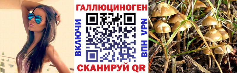 hydra ТОР  Рязань  Галлюциногенные грибы мухоморы 
